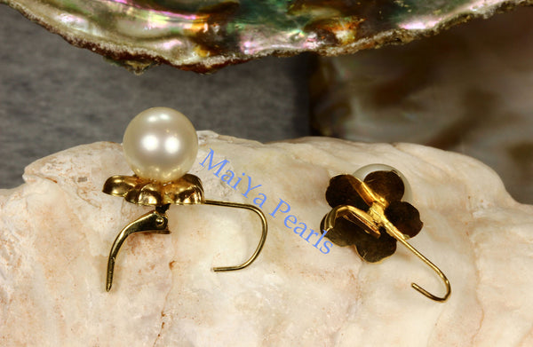 Earrings - 14k Yellow Gold Stunning AAA Off-White Freshwater Pearls on 14k Yellow Gold Flower Setting