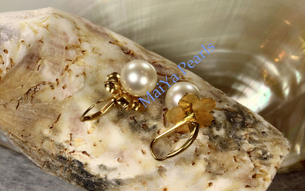 Earrings - 14k Yellow Gold Stunning AAA Off-White Freshwater Pearls on 14k Yellow Gold Flower Setting