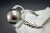 Ring - Exquisite Tahitian AAA Black Pearl, Diamonds, & 18K White Gold