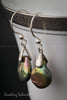 Earrings - Freshwater coin shaped Pearl