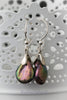 Earrings - Freshwater coin shaped Pearl