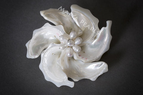 Brooch / Pendant - Large Seashell and Pearl Flower