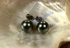 Pearl Studs Earrings - AAA Tahiti Black Pearl Dark Grey with Greenish overtone