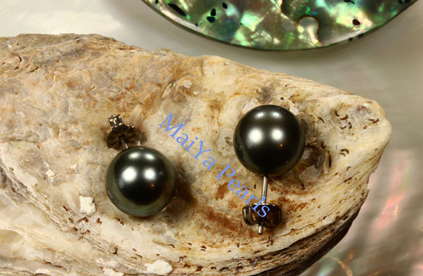 Pearl Studs Earrings - AAA Tahiti Black Pearl Dark Grey with Greenish overtone