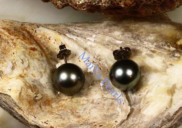 Pearl Studs Earrings - AAA Tahiti Black Pearl Dark Grey with Greenish overtone