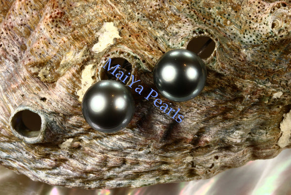 Pearl Studs Earrings - AAA Tahiti Black Pearl Dark Grey with Greenish overtone